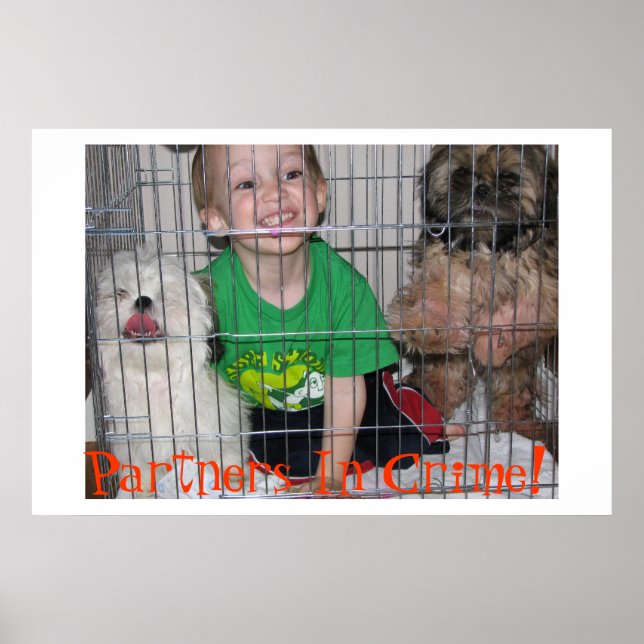 Pôster Parceiros No Crime! (Frente)