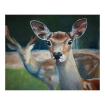 PARCEIROS PARA A VIDA