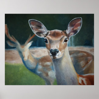 POSTER PARCEIROS PARA A VIDA