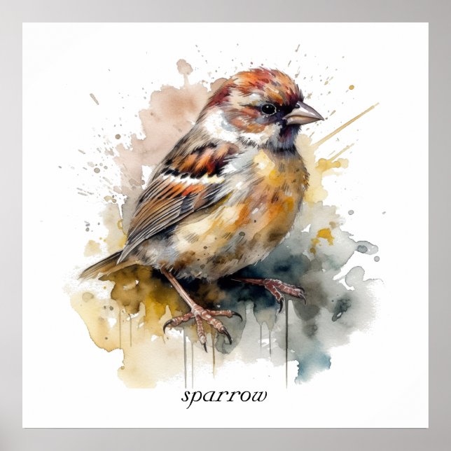 Poster Pardal Aquarela Rústica, personalizado (Frente)