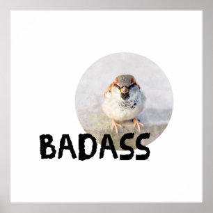 Poster Pardal - Badass