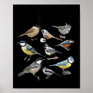 Poster Pare de olhar para minha citação engraçada de quem