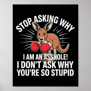 Poster Pare De Perguntar Por Que Eu Sou Um Buraco