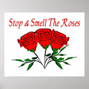 Pôster Pare e cheire os rosas
