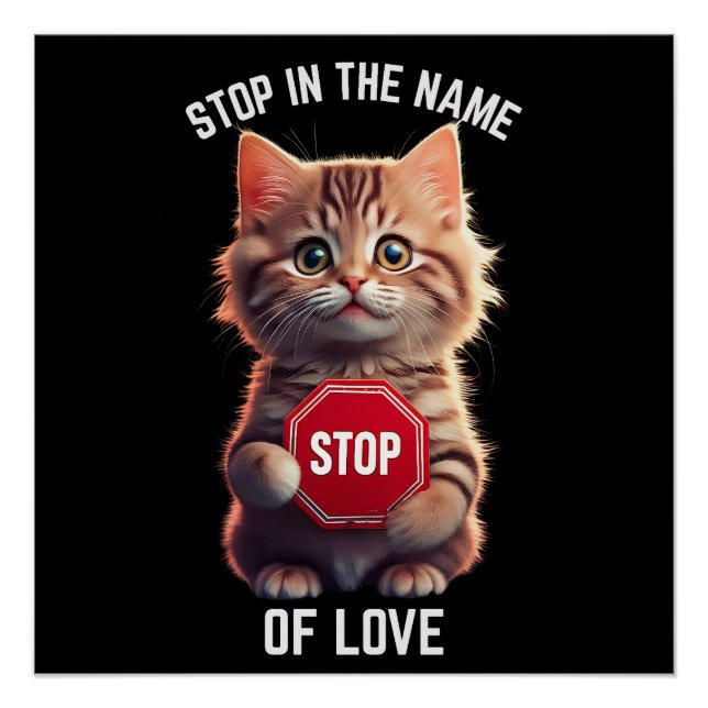 Pôster Pare Em Nome do Amor (Frente)