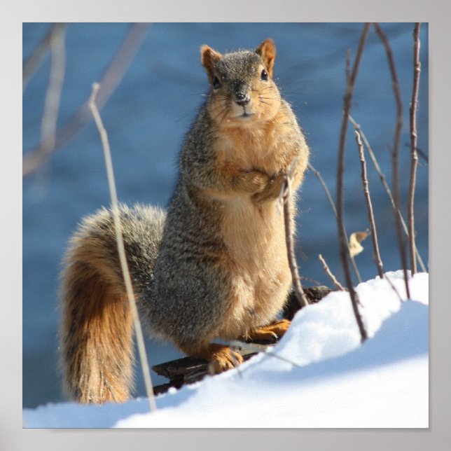 Pôster Parece que perdi meus loucos! (Frente)