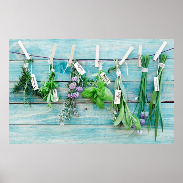 Poster Parede de turquesa russa com ervas aromáticas (Frente)