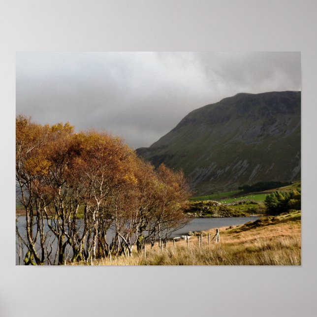 PÔSTER PAREDES (Frente)