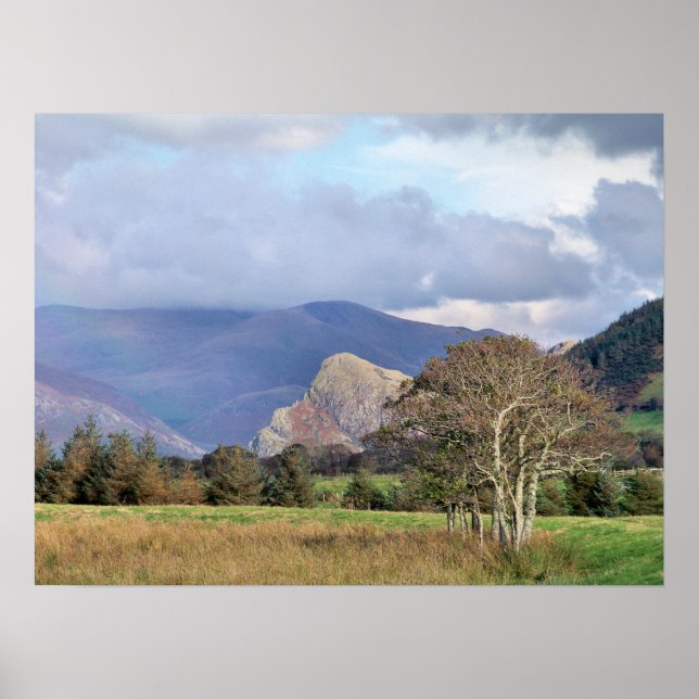 PÔSTER PAREDES (Frente)