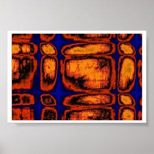 Pôster paredes celulares