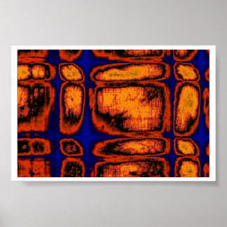 Pôster paredes celulares