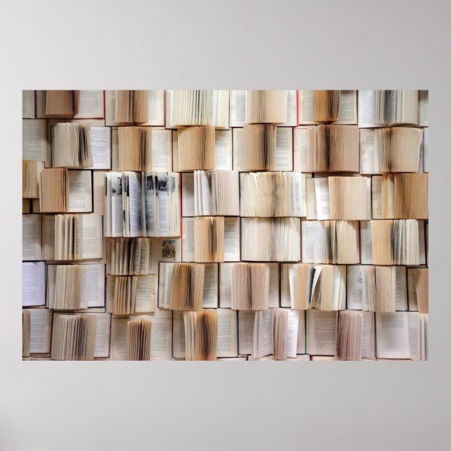 Poster Paredes de livros decorativos (Frente)
