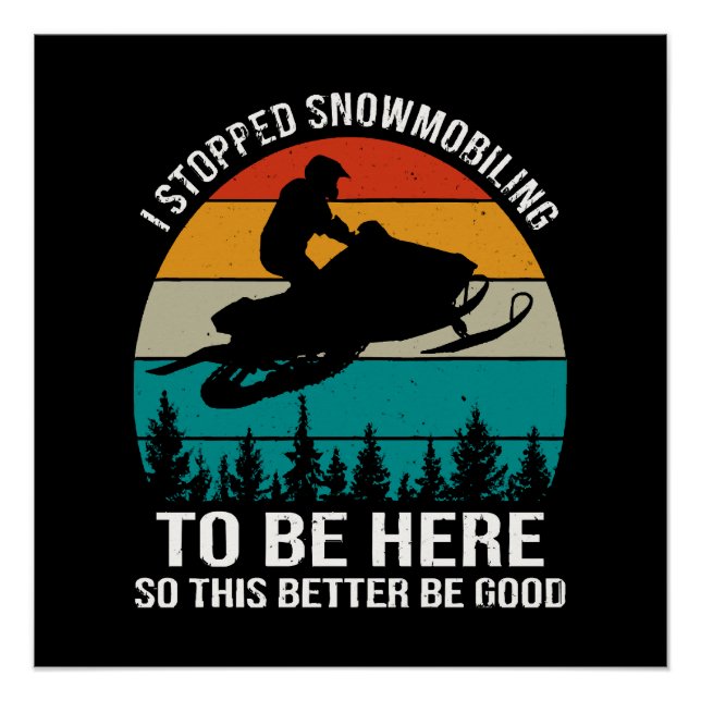 Pôster Parei de Pilotar Moto de Neve Para Estar Aqui (Frente)