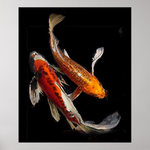Poster Pares impressionantes de Koi