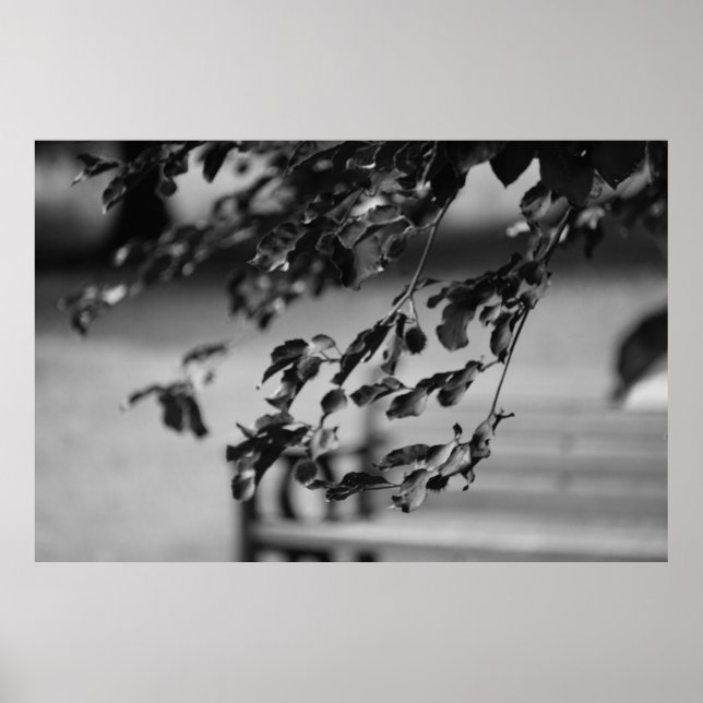 Poster Park Bench (Frente)