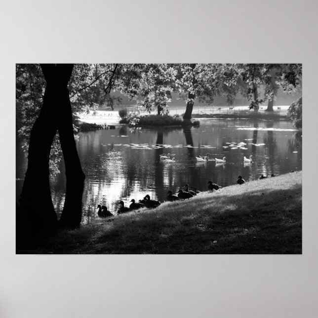 Poster Park Life Wapa (Frente)