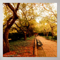 Park, Parque Central de NYC,