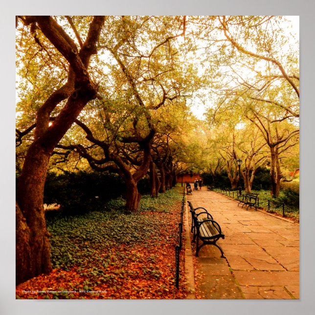 Poster Park, Parque Central de NYC, (Frente)