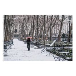 Pôster Parque Bryant Neve