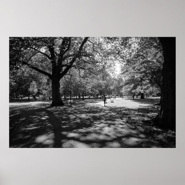 Poster Parque Bute numa Tarde de Verão. Cardiff, Gales (Frente)