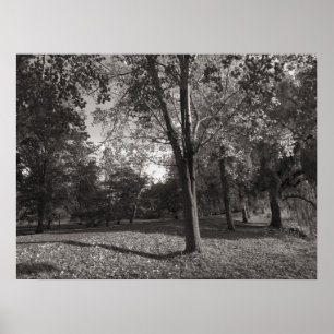 Poster Parque Cardiff do Bute da paisagem do outono