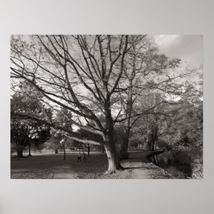 Poster Parque Cardiff do Bute da paisagem do outono