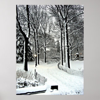 Pôster Parque Central 2010 Neve - CIMG6446