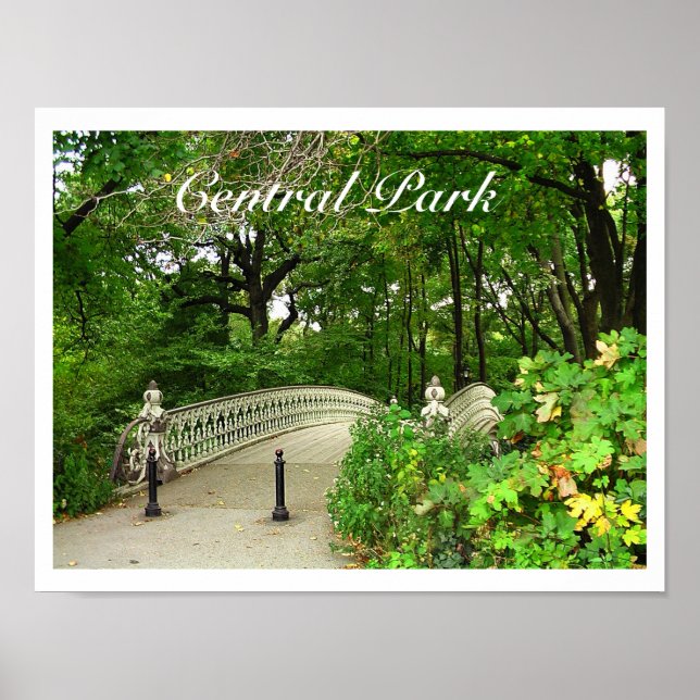 Pôster Parque Central da Ponte do Reservatório Sudeste, N (Frente)