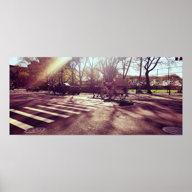 POSTER PARQUE CENTRAL DE NOVA IORQUE (Frente)