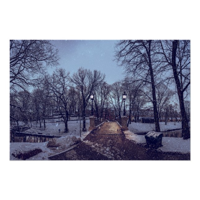 Pôster Parque da cidade nevado no inverno à noite (Frente)