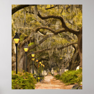 Poster Parque de Forsyth - foto, savana, Geórgia (GA) EU
