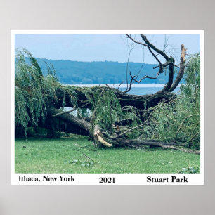 POSTER PARQUE DE INÍCIO DA TEMPESTADE 2021