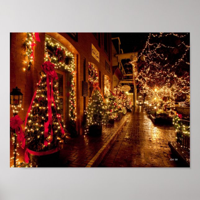 Poster parque de inverno, florida (Frente)