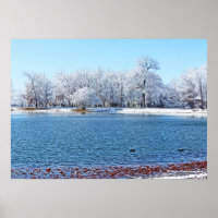 PARQUE DE MAIS VELHO E LAGO/NEVE