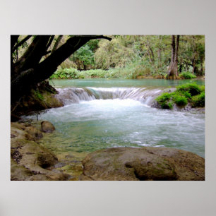 Pôster Parque de Micos, México