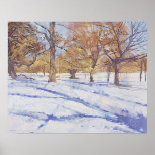 Poster Parque de Richmond do inverno