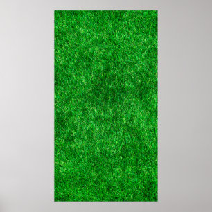 Poster Parque do jardim de grama de grama