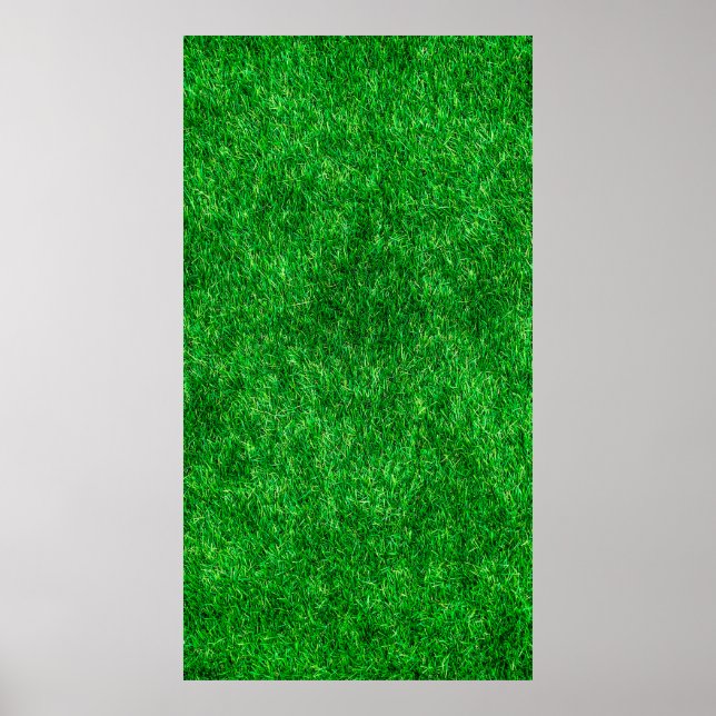 Poster Parque do jardim de grama de grama (Frente)