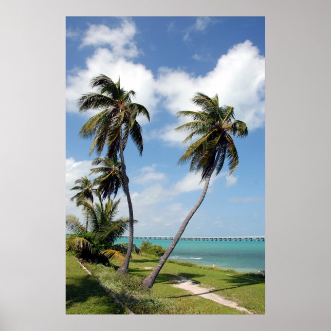 Poster Parque Estadual Bahia Honda E Ponte De Sete Milhas (Frente)