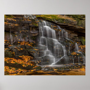 Poster Parque Estadual Blackwater Falls