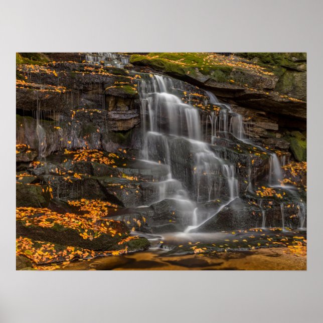 Poster Parque Estadual de Blackwater Falls (Frente)