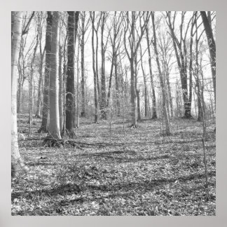 Pôster Parque Estadual de Ridley Creek