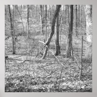 Poster Parque Estadual de Ridley Creek