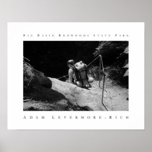 Pôster Parque estadual grande das sequóias vermelhas da