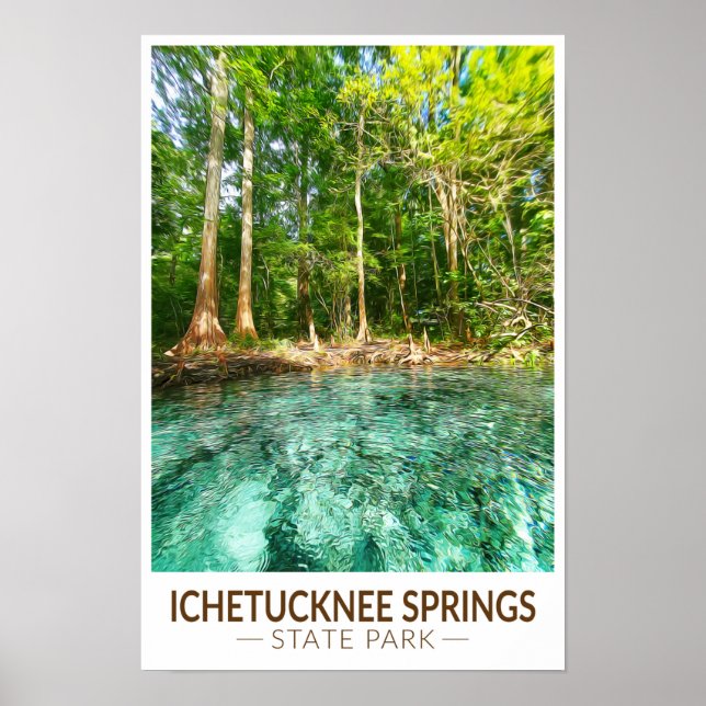 Poster Parque Estadual Ichetucknee Springs Flórida Aquare (Frente)