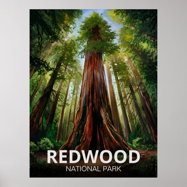 Poster Parque Estadual Nacional Redwood, Califórnia Coste (Frente)