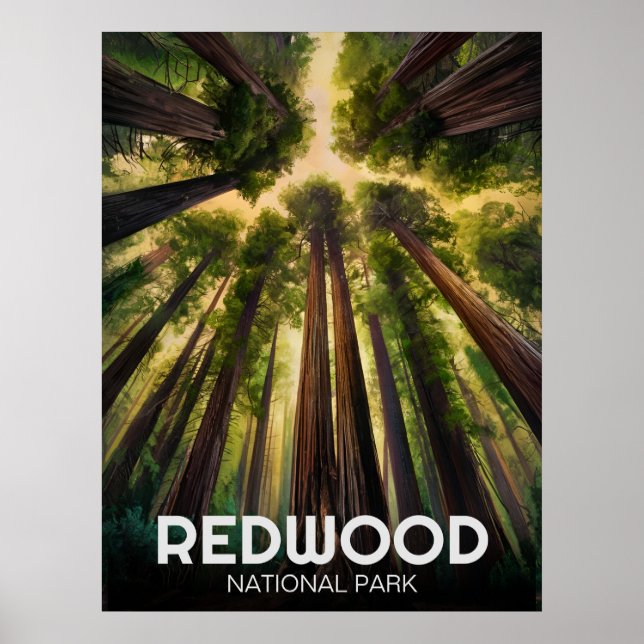 Poster Parque Estadual Nacional Redwood, Califórnia Coste (Frente)