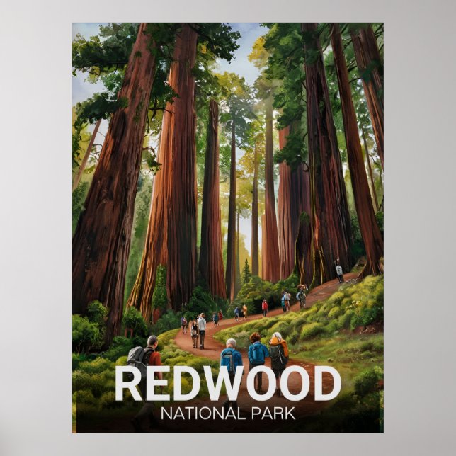 Poster Parque Estadual Nacional Redwood, Califórnia Coste (Frente)