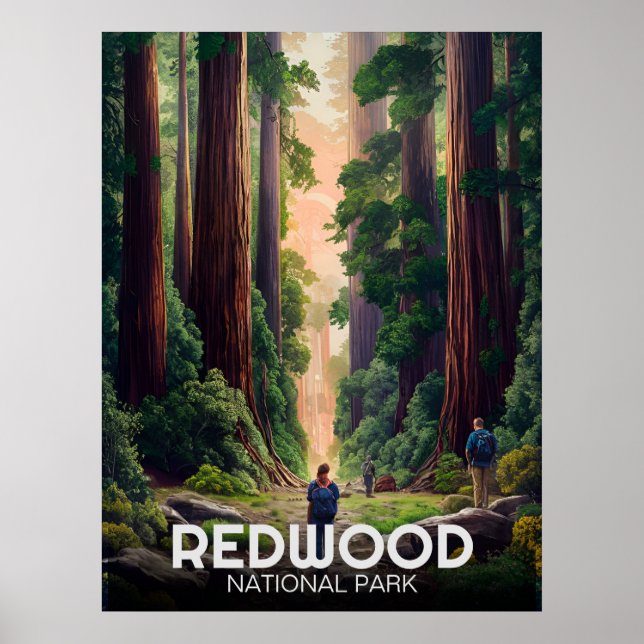Poster Parque Estadual Nacional Redwood, Califórnia Coste (Frente)