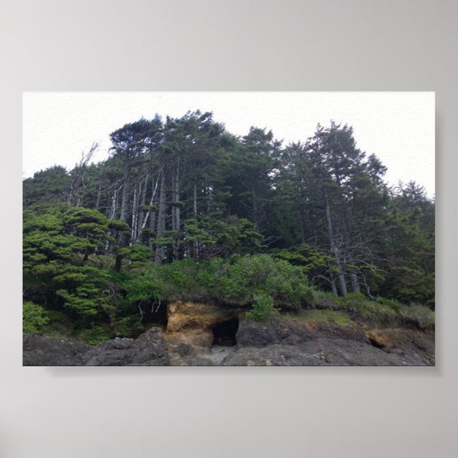 Poster Parque Estadual Neptune, OR (Frente)
